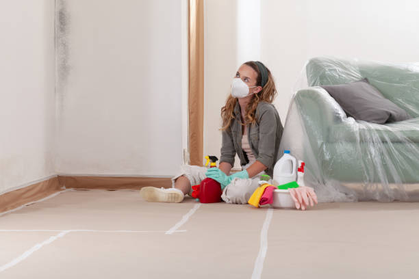 Reliable Commercial Mold Remediation contractor in Redmond, OR by Mold Remediation HQ
